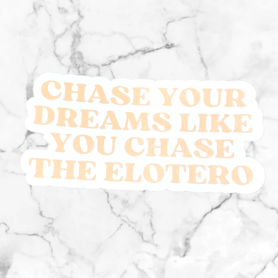 Chase Your Dreams Sticker