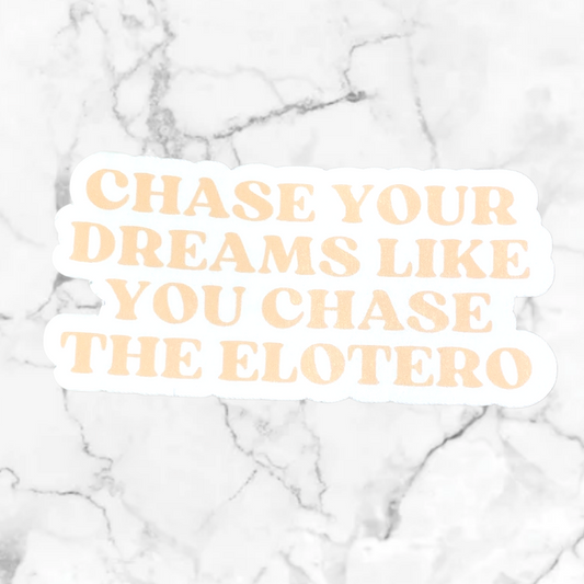 Chase Your Dreams Sticker